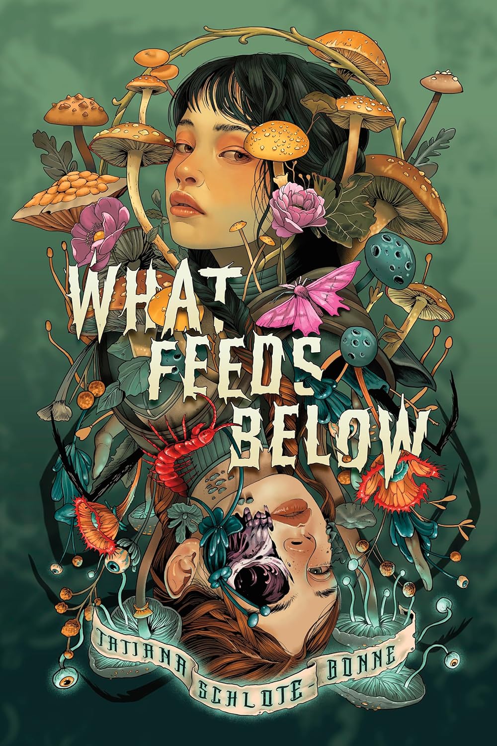 What Feeds Below